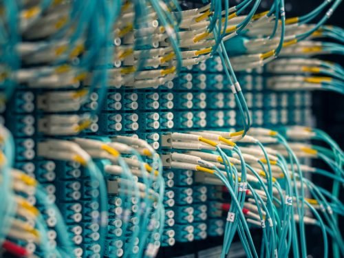 Close-up of data network cables connected to a patch panel in a server room.